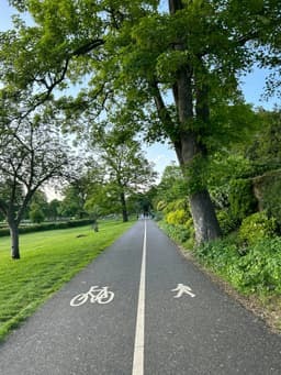 A tree-lined bike lane in Hemel Hempstead