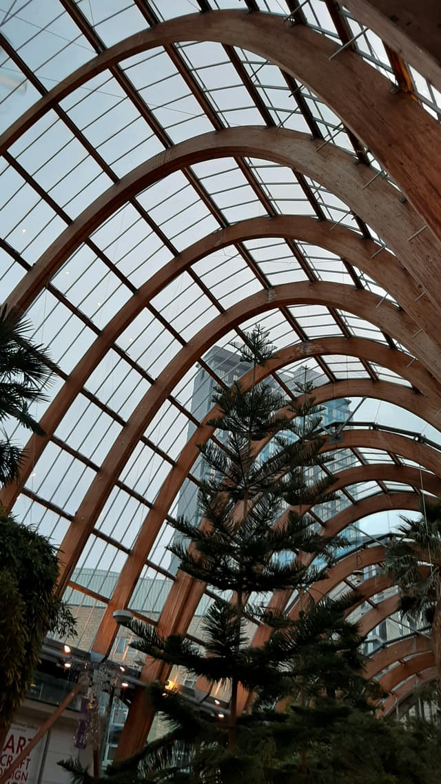 The Winter Garden, Sheffield