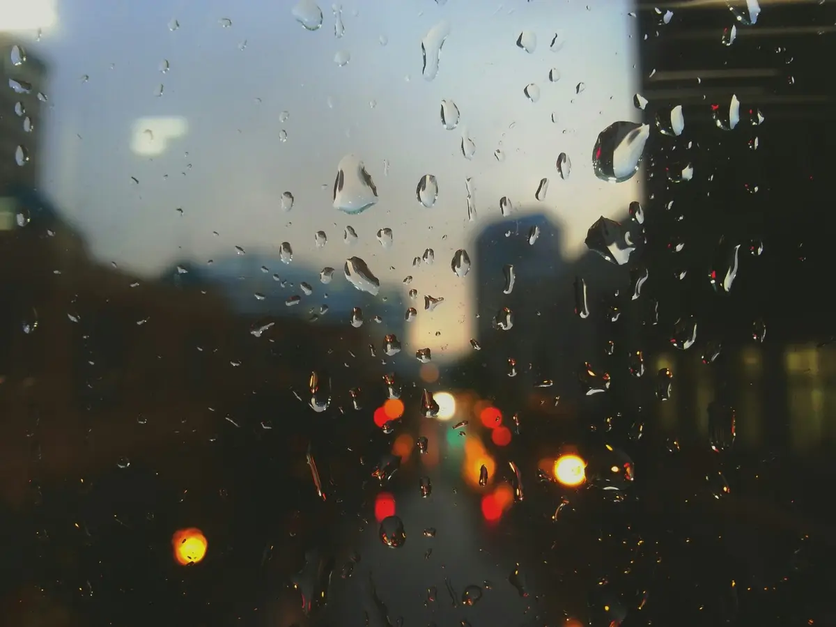 City lights blurred through rain on glass