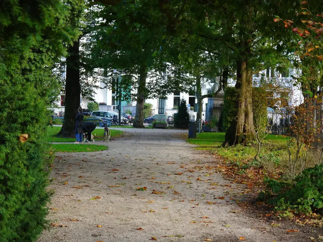 A gravel path under tall trees in a town park