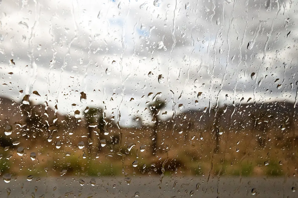 Rain running down a window