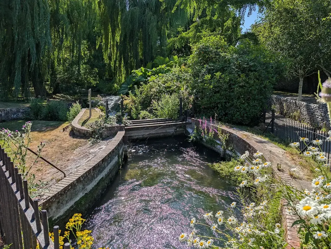 A small weir among trees and wild flowers